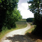 image: Image from the photoset ‘
kayl (iv)
’.