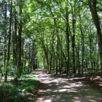 image: Image from the photoset ‘
kayl (iv)
’.