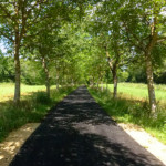 image: Image from the photoset ‘
kayl (iv)
’.