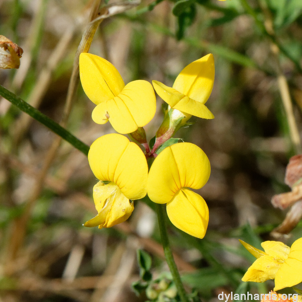 image: This is ‘
differdange 3
’.