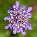 image: Image from the photoset ‘
differdange (i)
’.