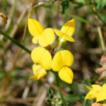 image: Image from the photoset ‘
differdange (i)
’.