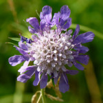 image: Image from the photoset ‘
differdange (i)
’.