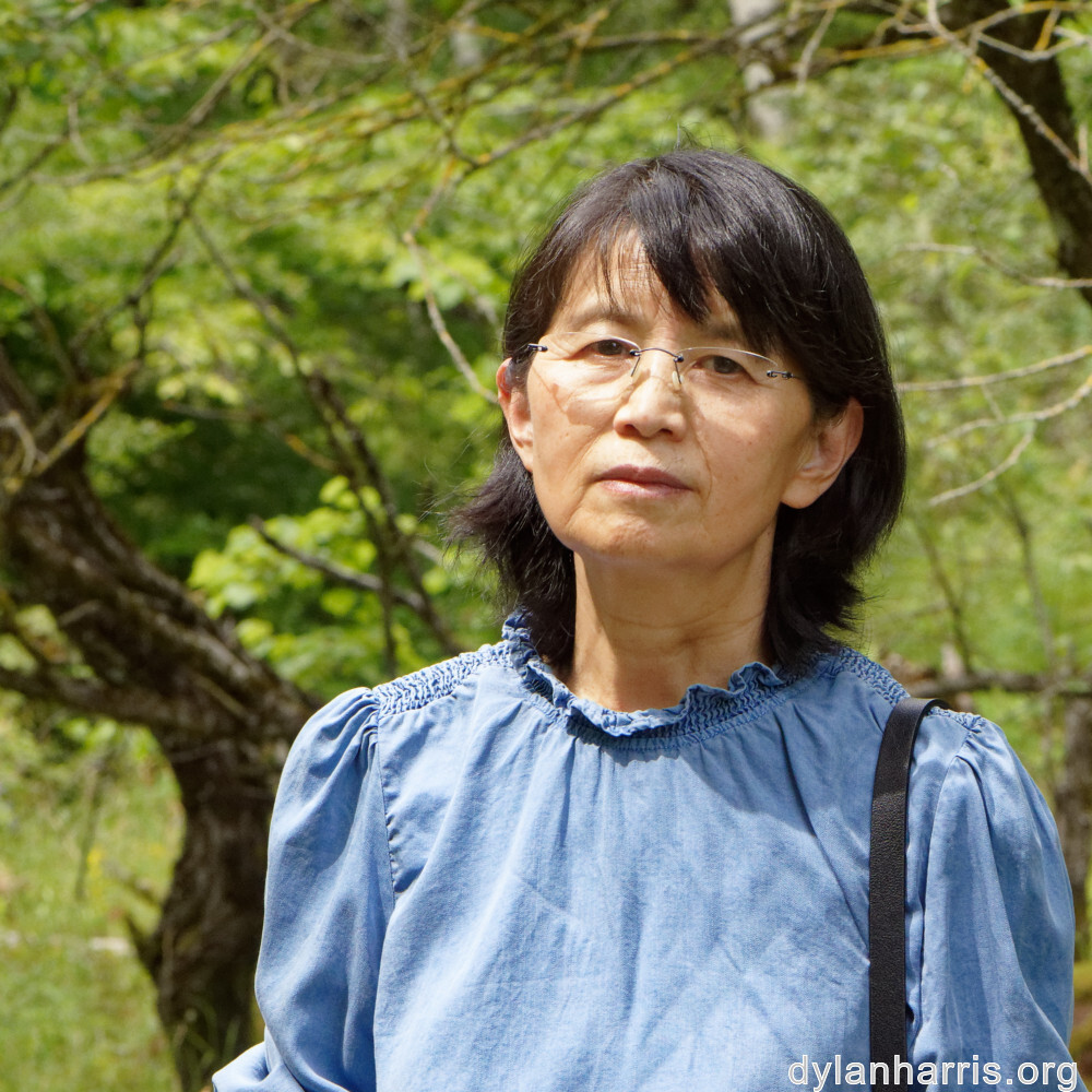 image: This is ‘
L (xxxvi) 1
’.