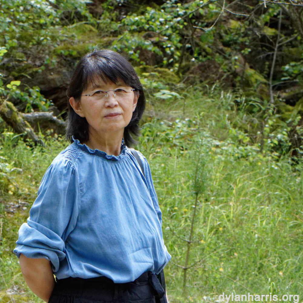 image: This is ‘
L (xxxvi) 2
’.