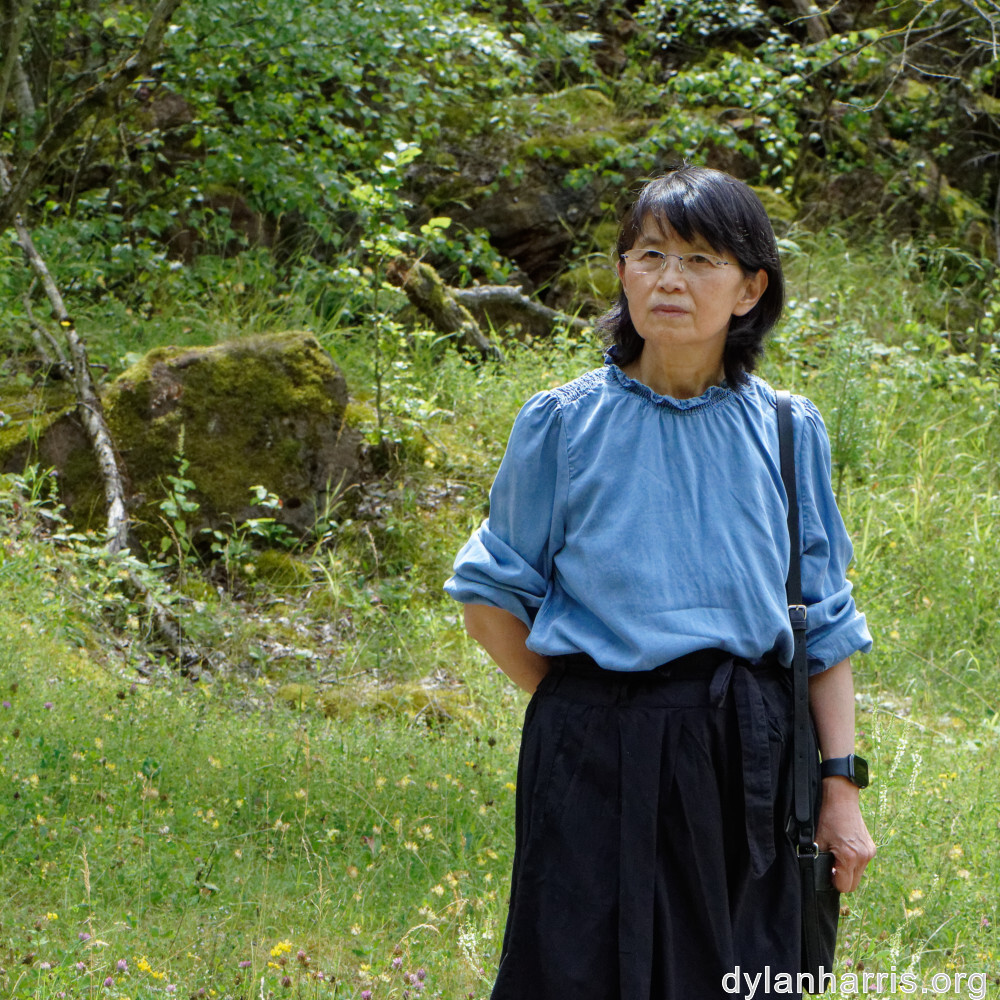 image: This is ‘
L (xxxvi) 3
’.