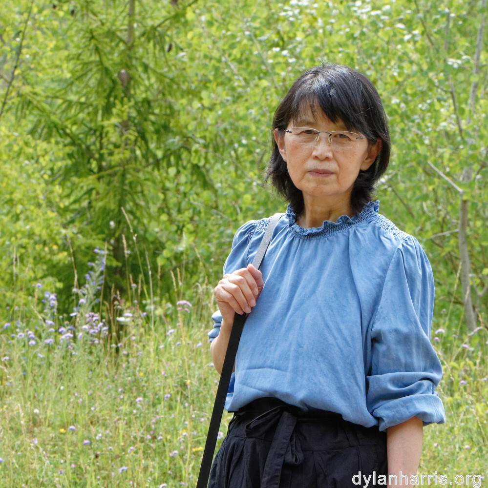 image: This is ‘
L (xxxvi) 4
’.