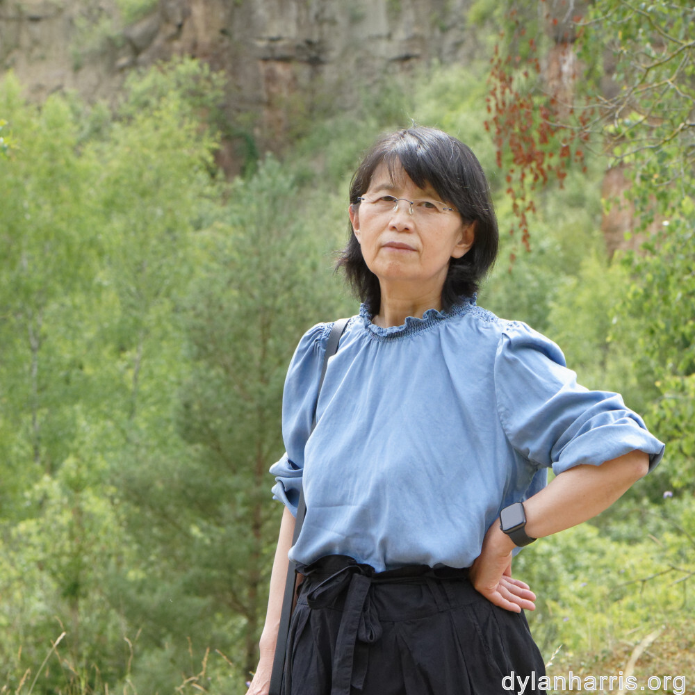 image: This is ‘
L (xxxvi) 5
’.