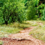 image: Image from the photoset ‘
kayl (v)
’.