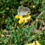 image: Image from the photoset ‘
kayl (v)
’.