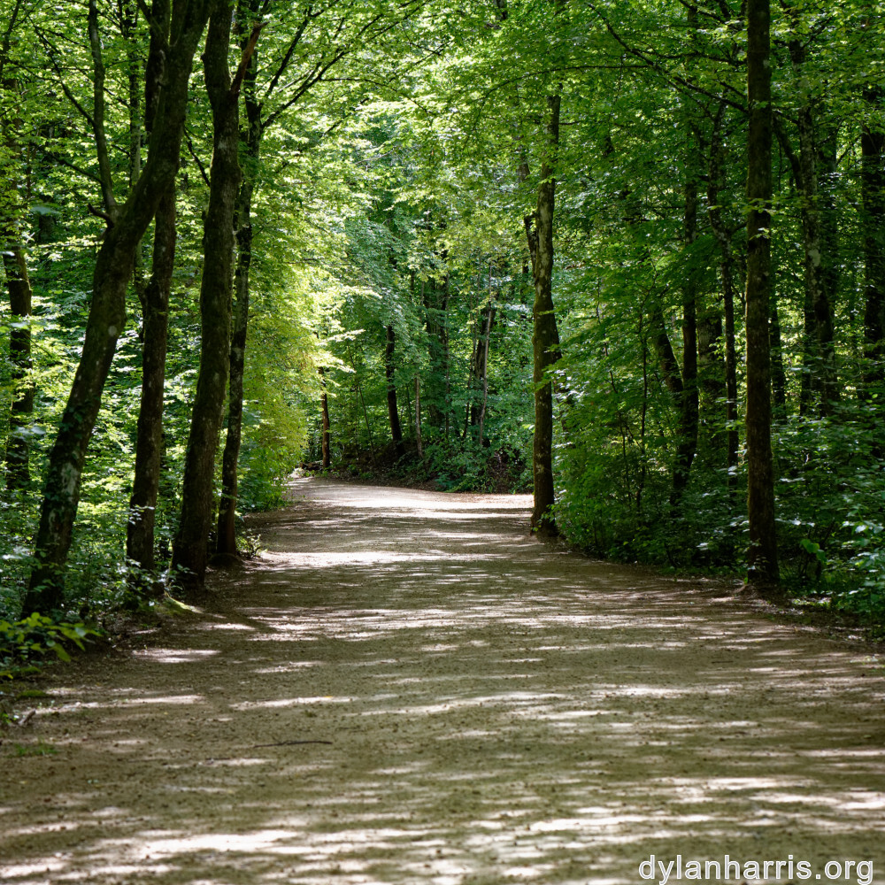 image: This is ‘
belvaux (vii) 1
’.