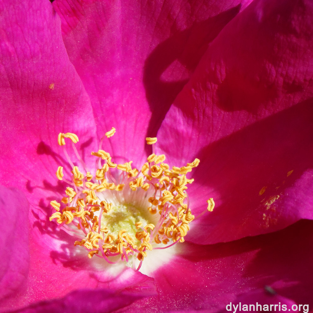 image: This is ‘
belvaux (vii) 2
’.