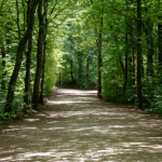 image: Image from the photoset ‘
belvaux (vii)
’.