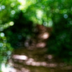 image: Image from the photoset ‘
belvaux (vii)
’.