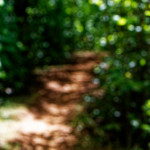 image: Image from the photoset ‘
belvaux (vii)
’.