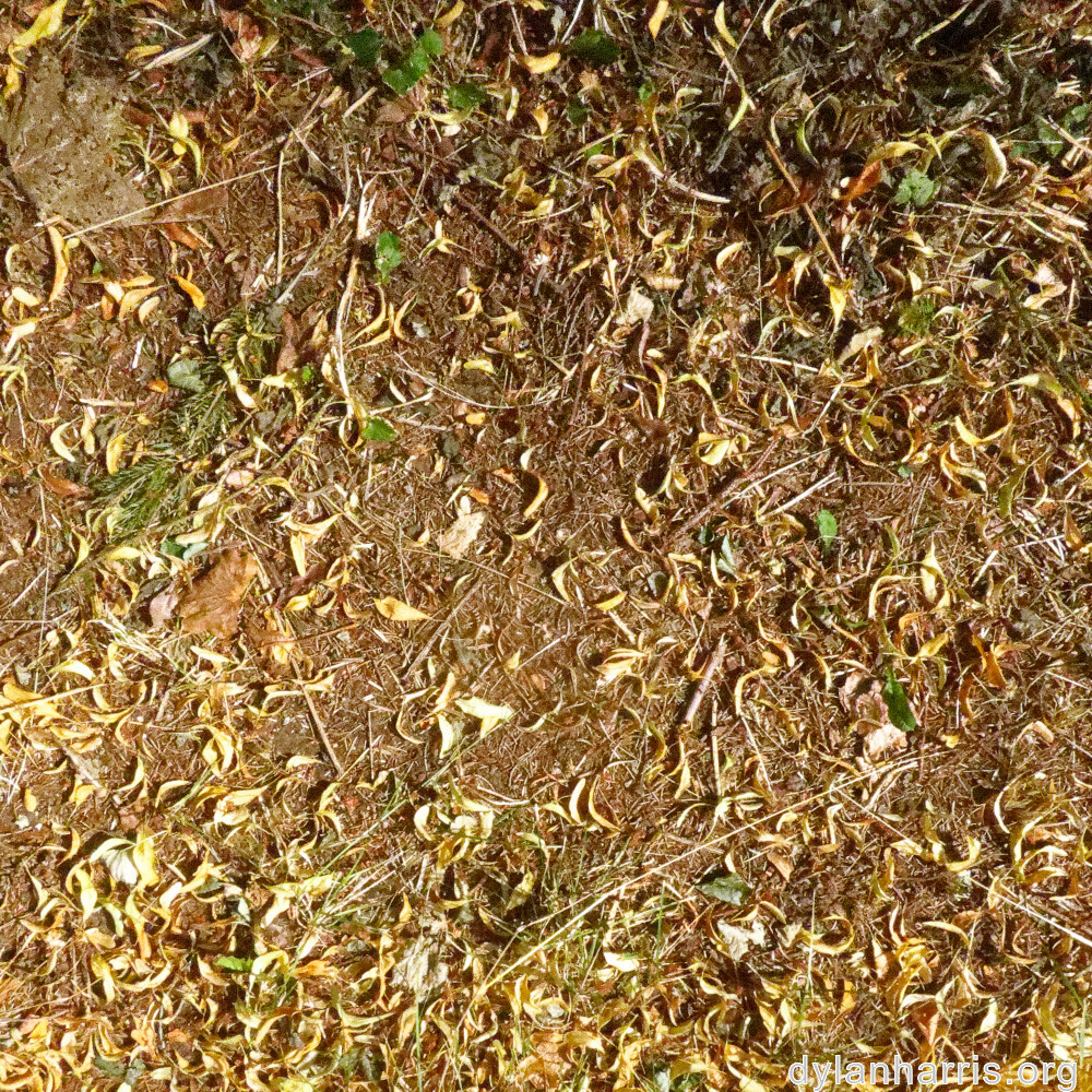 image: This is ‘
differdange 1
’.