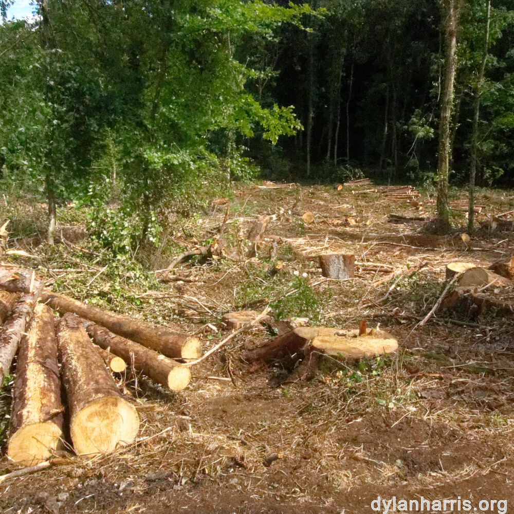 image: This is ‘
differdange 2
’.