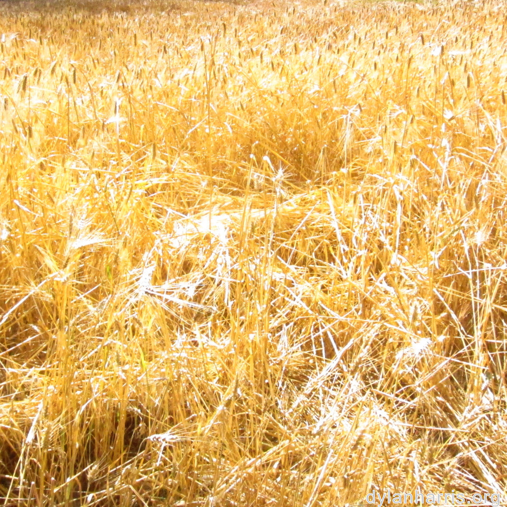 image: This is ‘
differdange 3
’.