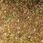 image: Image from the photoset ‘
differdange (ii)
’.