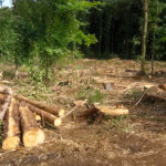 image: Image from the photoset ‘
differdange (ii)
’.