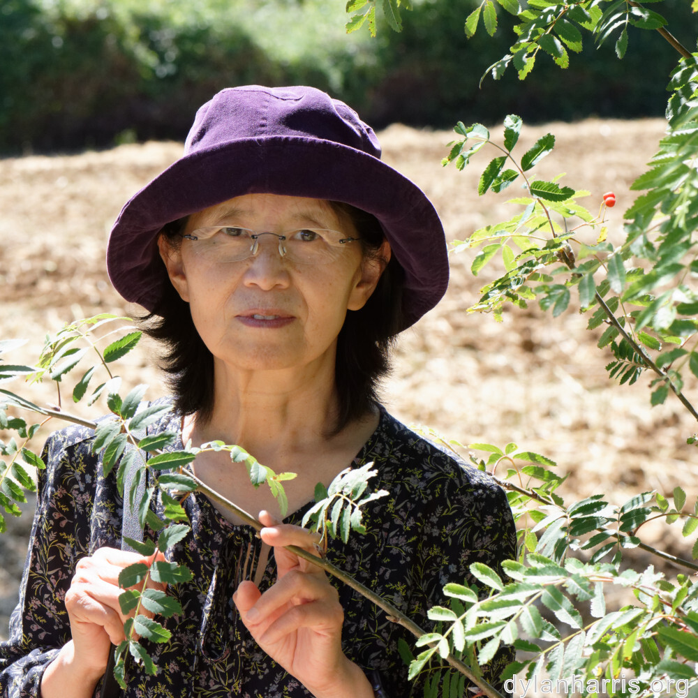 image: This is ‘
L (xxxvii) 1
’.