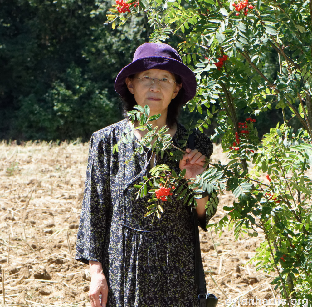 image: This is ‘
L (xxxvii) 2
’.