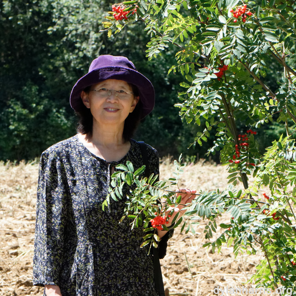 image: This is ‘
L (xxxvii) 3
’.