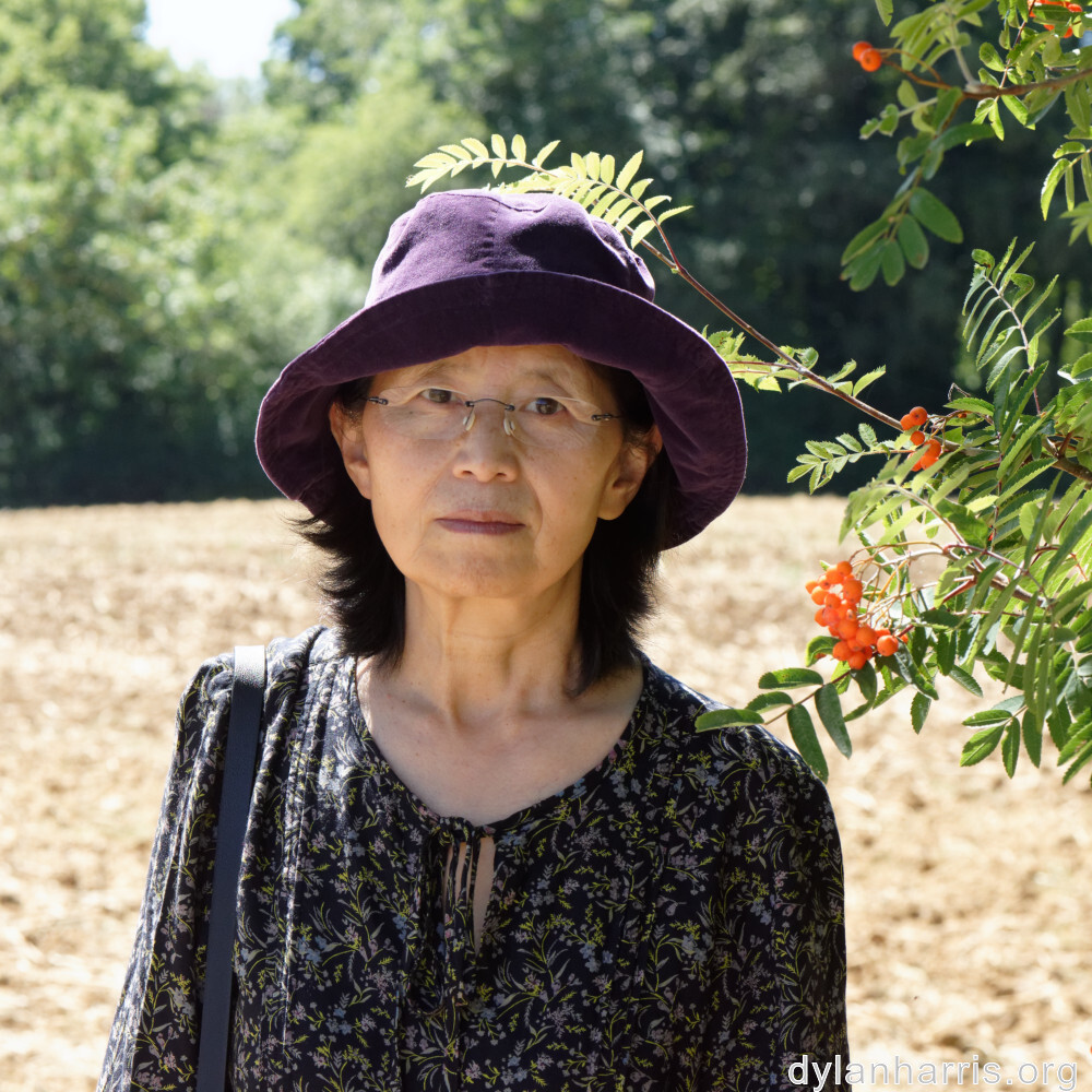 image: This is ‘
L (xxxvii) 4
’.