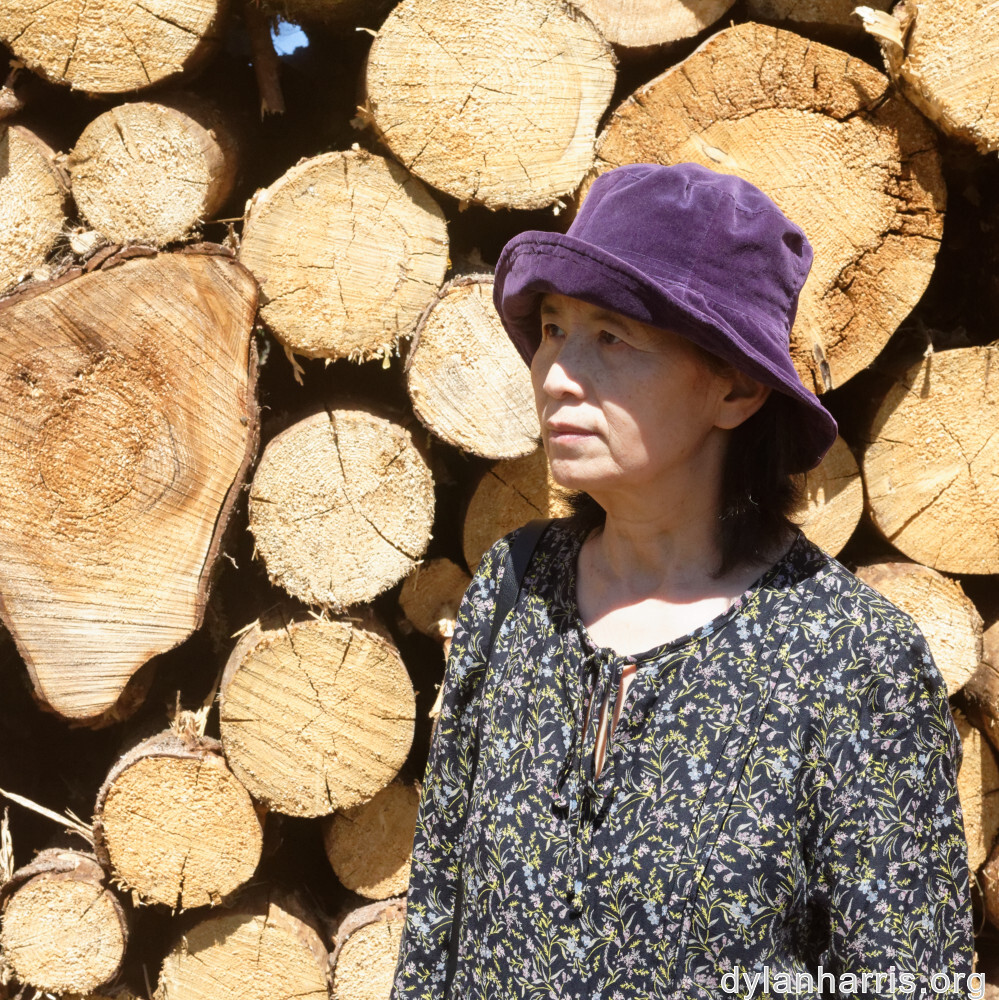 image: This is ‘
L (xxxvii) 5
’.