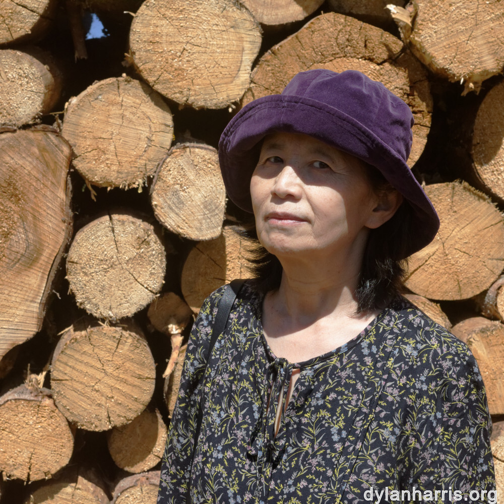 image: This is ‘
L (xxxvii) 
’.