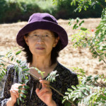 image: Image from the photoset ‘
L (xxxvii)
’.