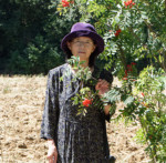 image: Image from the photoset ‘
L (xxxvii)
’.