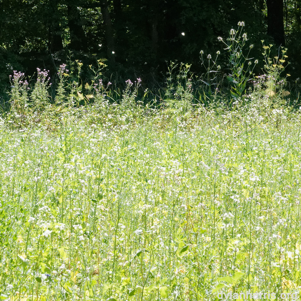 image: This is ‘
rumelange 1
’.