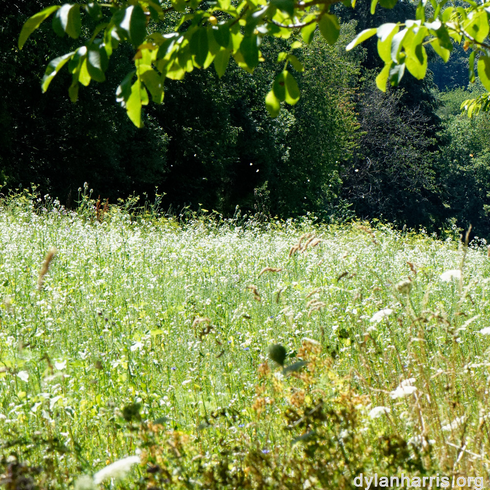 image: This is ‘
rumelange 5
’.