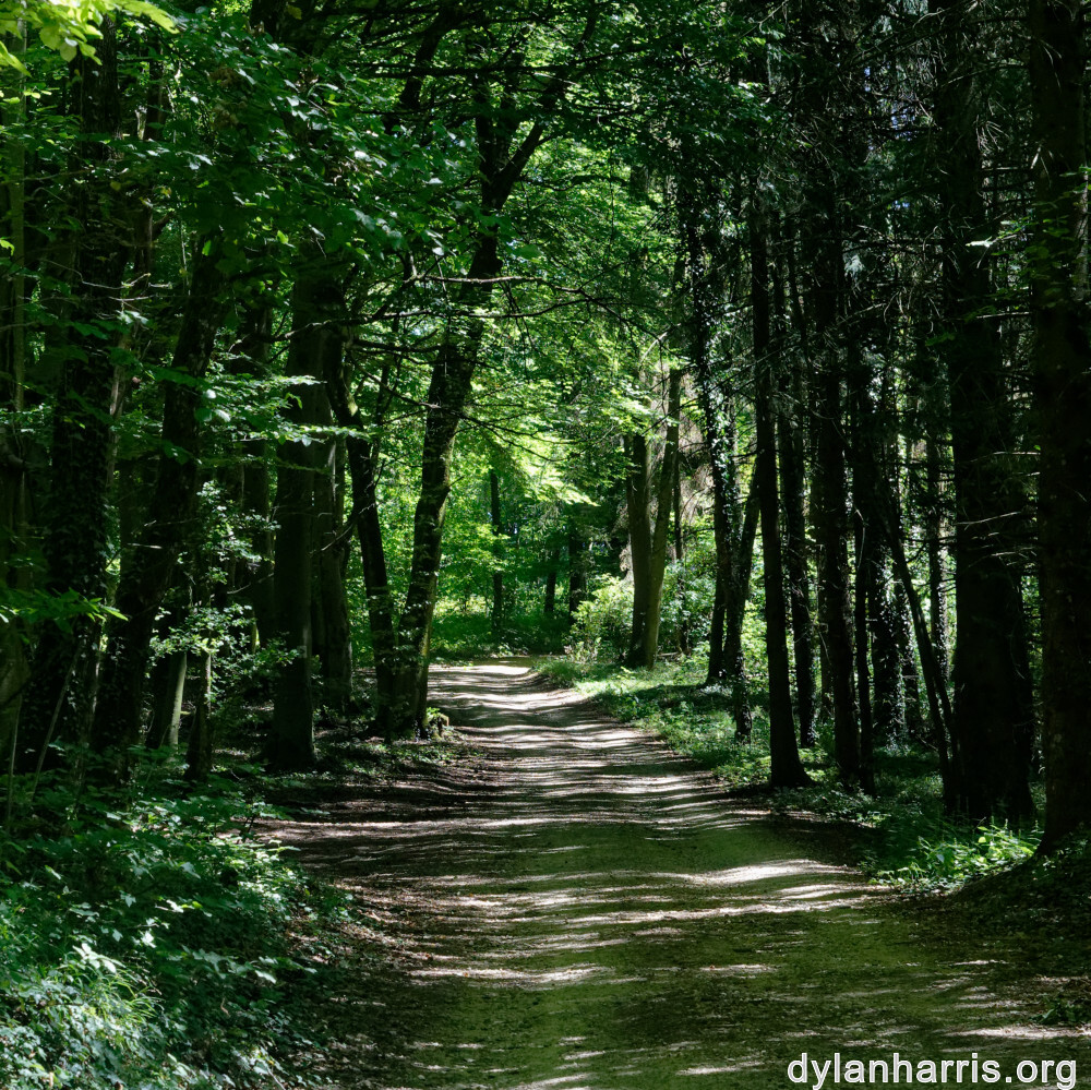 image: This is ‘
rumelange 6
’.