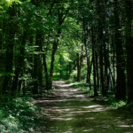 image: Image from the photoset ‘
rumelange (x)
’.