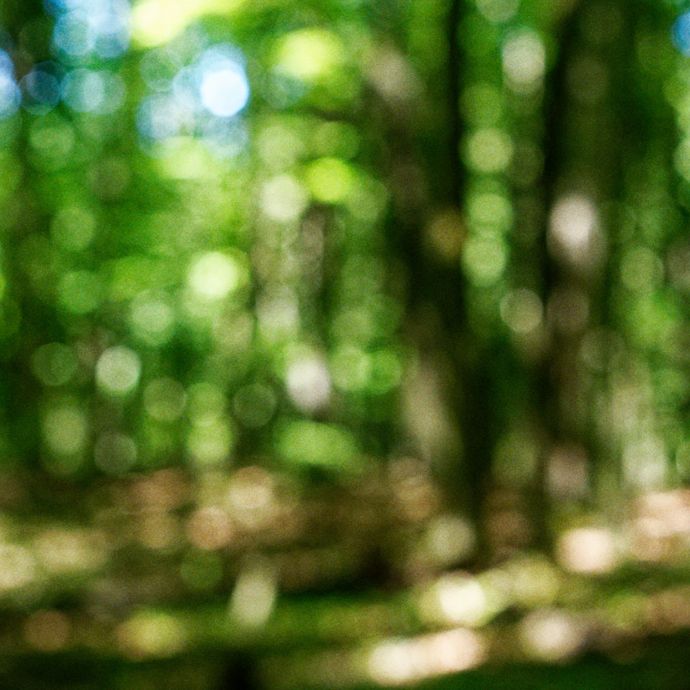 image: This is ‘
rumelange 6
’.