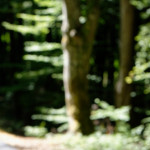 image: Image from the photoset ‘
rumelange (xi)
’.