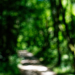 image: Image from the photoset ‘
rumelange (xi)
’.