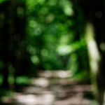 image: Image from the photoset ‘
rumelange (xi)
’.