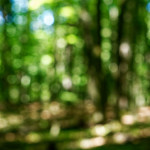 image: Image from the photoset ‘
rumelange (xi)
’.