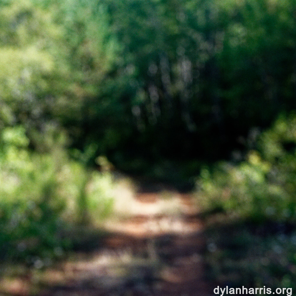 image: This is ‘
kayl 1
’.