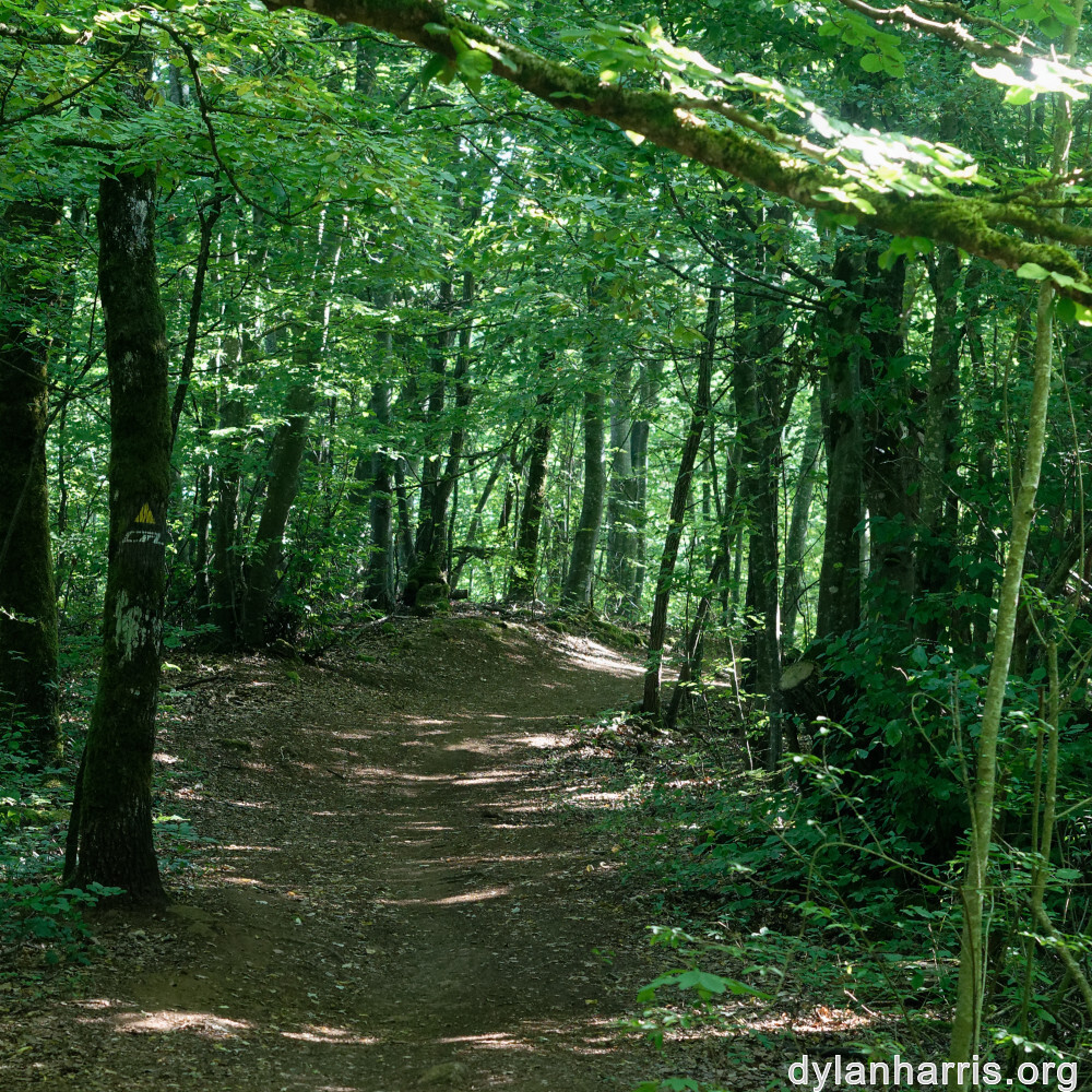 image: This is ‘
kayl 2
’.