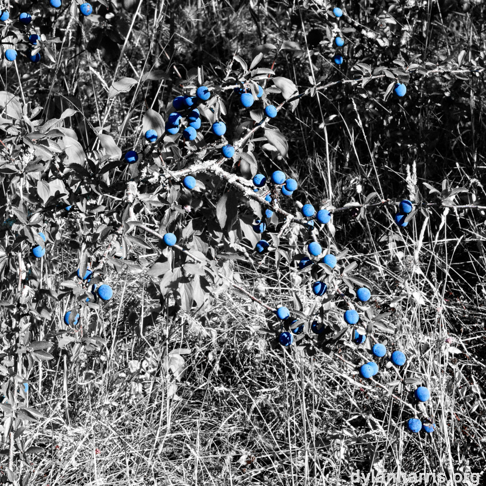 image: This is ‘
kayl 3
’.