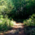 image: Image from the photoset ‘
kayl (vii)
’.