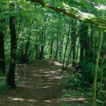 image: Image from the photoset ‘
kayl (vii)
’.