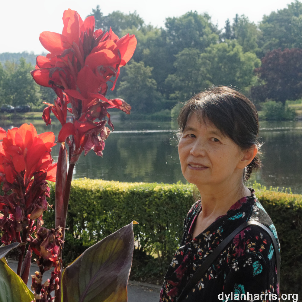 image: This is ‘
L (xxxviii) 4
’.