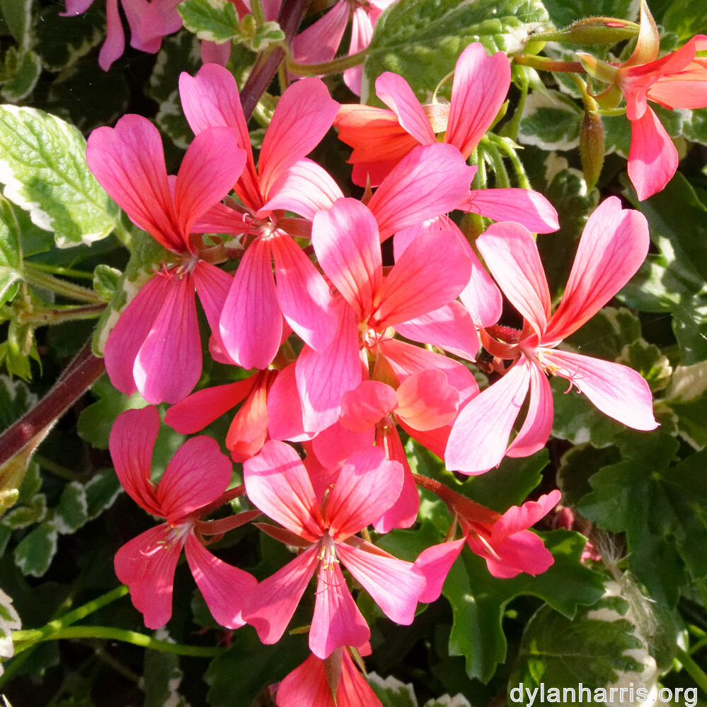 image: This is ‘
remich 2
’.