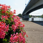 image: Image from the photoset ‘
remich (i)
’.