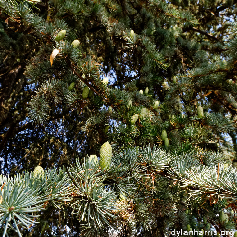 image: This is ‘
remich 1
’.